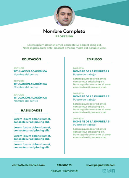 plantilla currículum vendedor